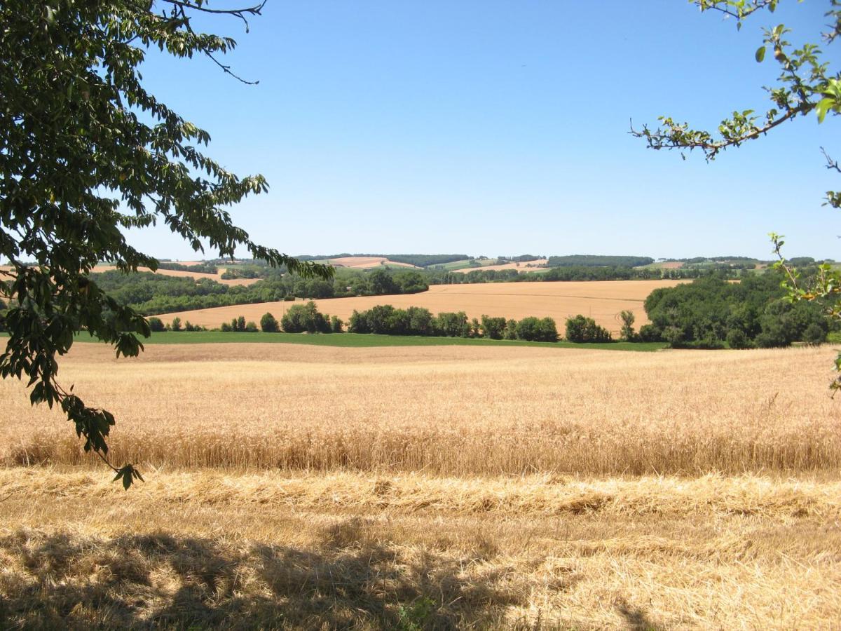 Le Petit Bergeret En Gascogne Villa Saint-Puy Eksteriør bilde