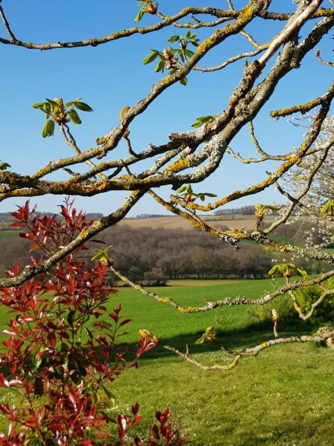 Le Petit Bergeret En Gascogne Villa Saint-Puy Eksteriør bilde